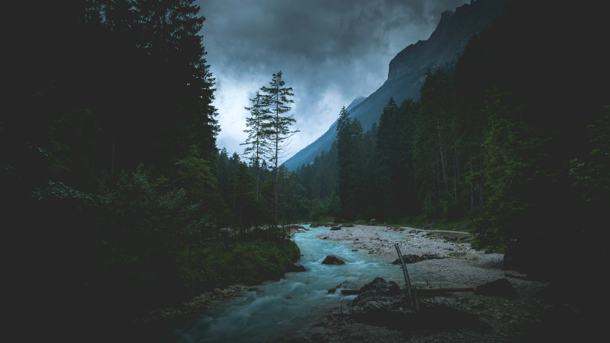 flowing river between tall trees