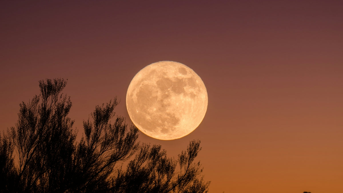full moon