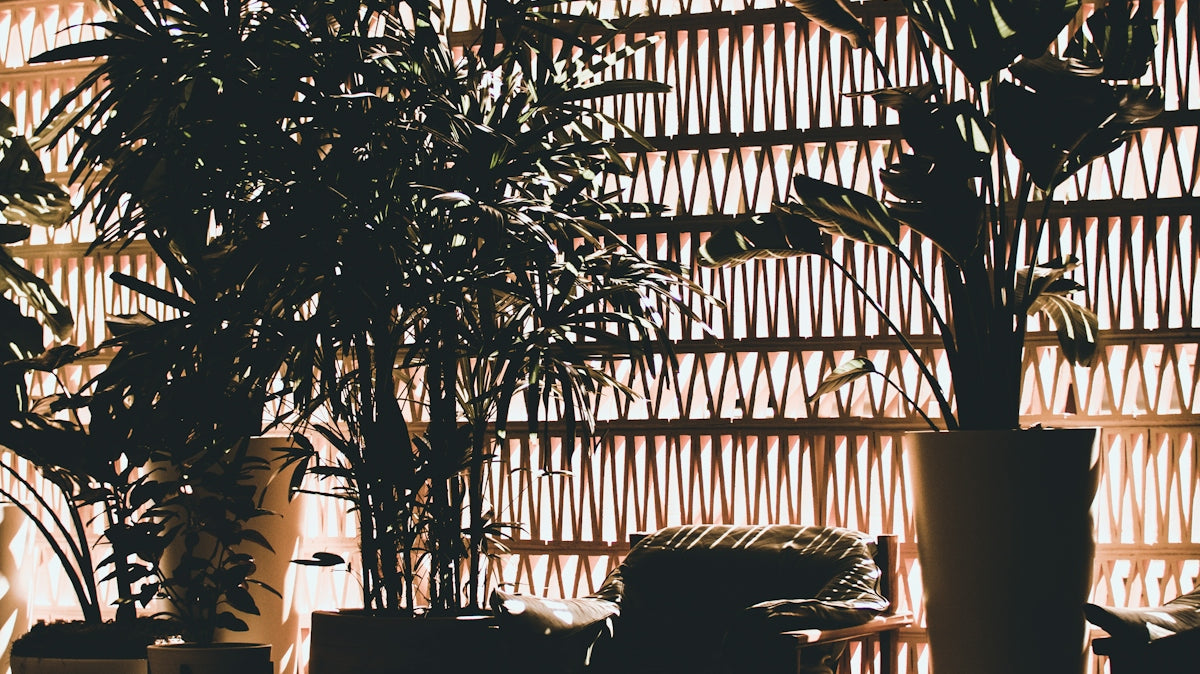 photo of sofa between vases