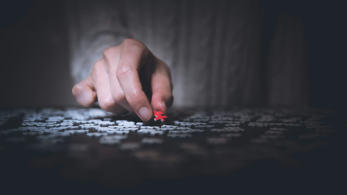 person holding red jigsaw puzzle