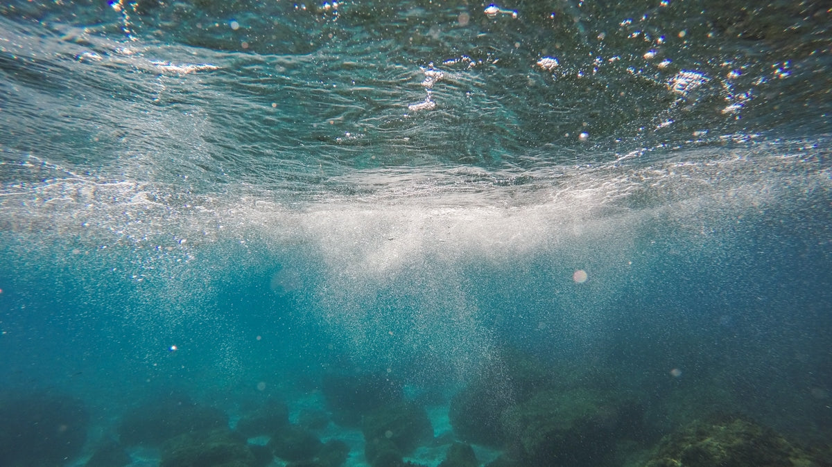 underwater shot during daytime