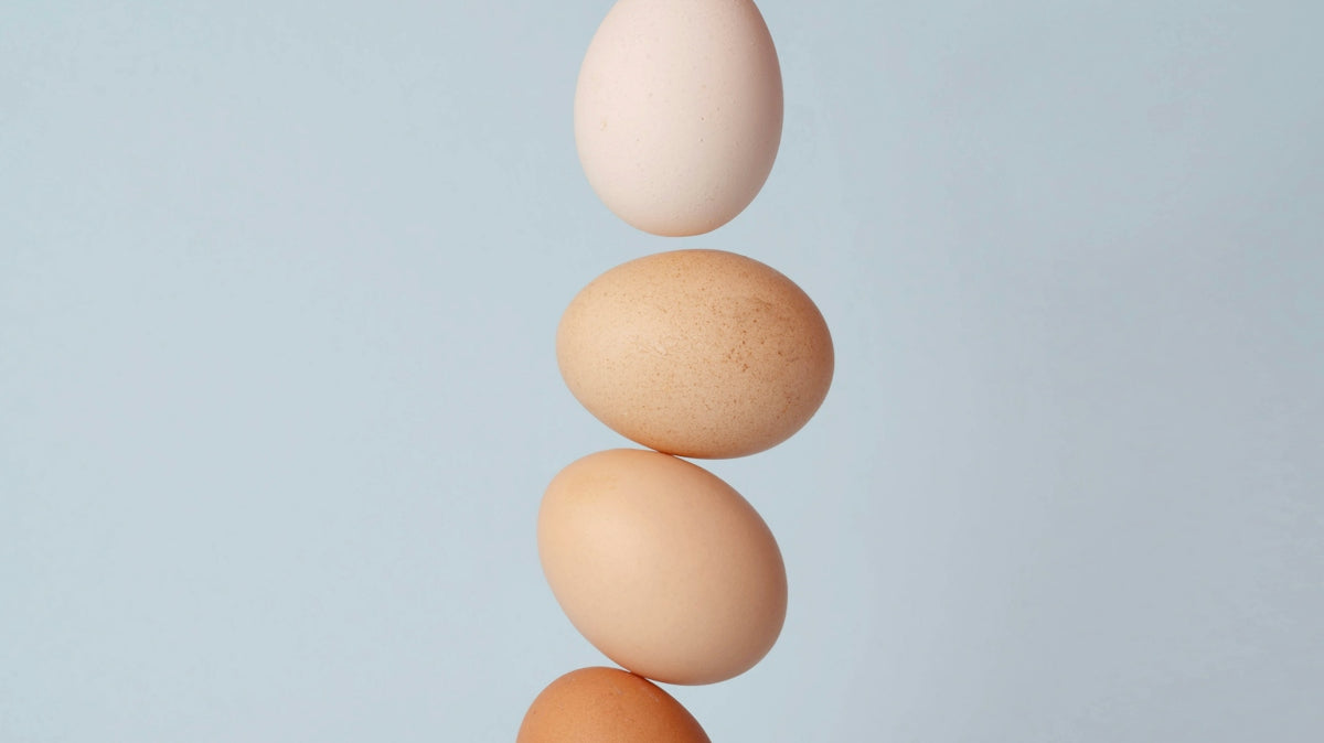 brown and white eggs