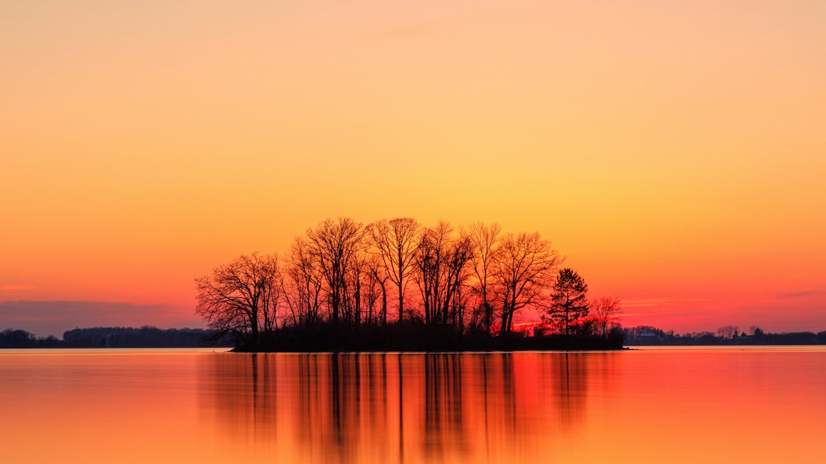 silhouette of trees near body of water during sunset