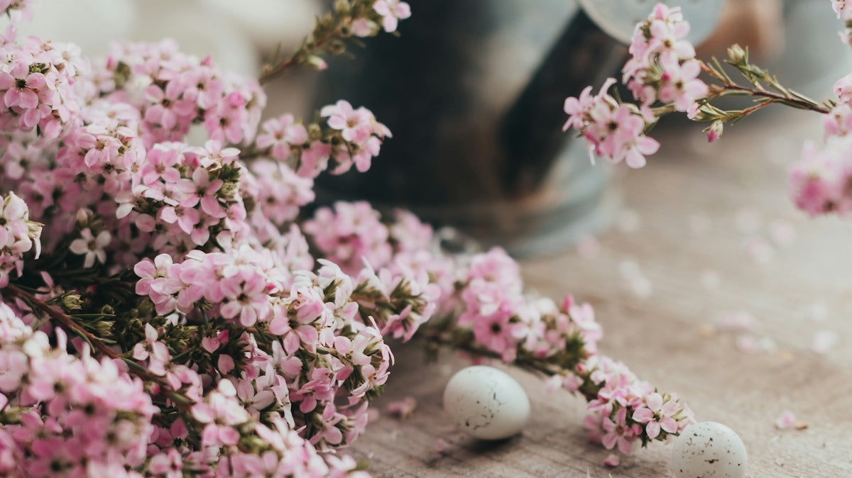 pink and white flowers on clear glass jar