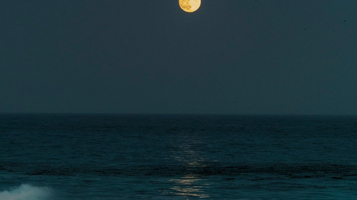 full moon over the ocean