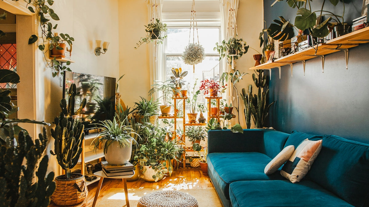 blue sofa with throw pillows
