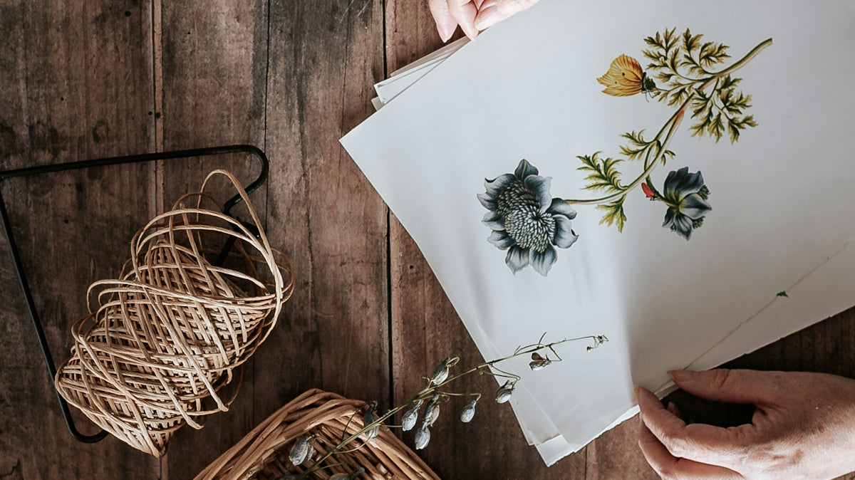 person holding white and green floral paper