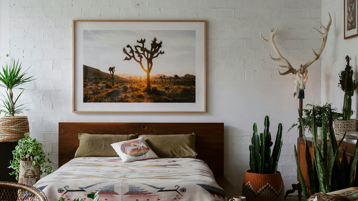 a bedroom with a bed, plants, and a picture on the wall