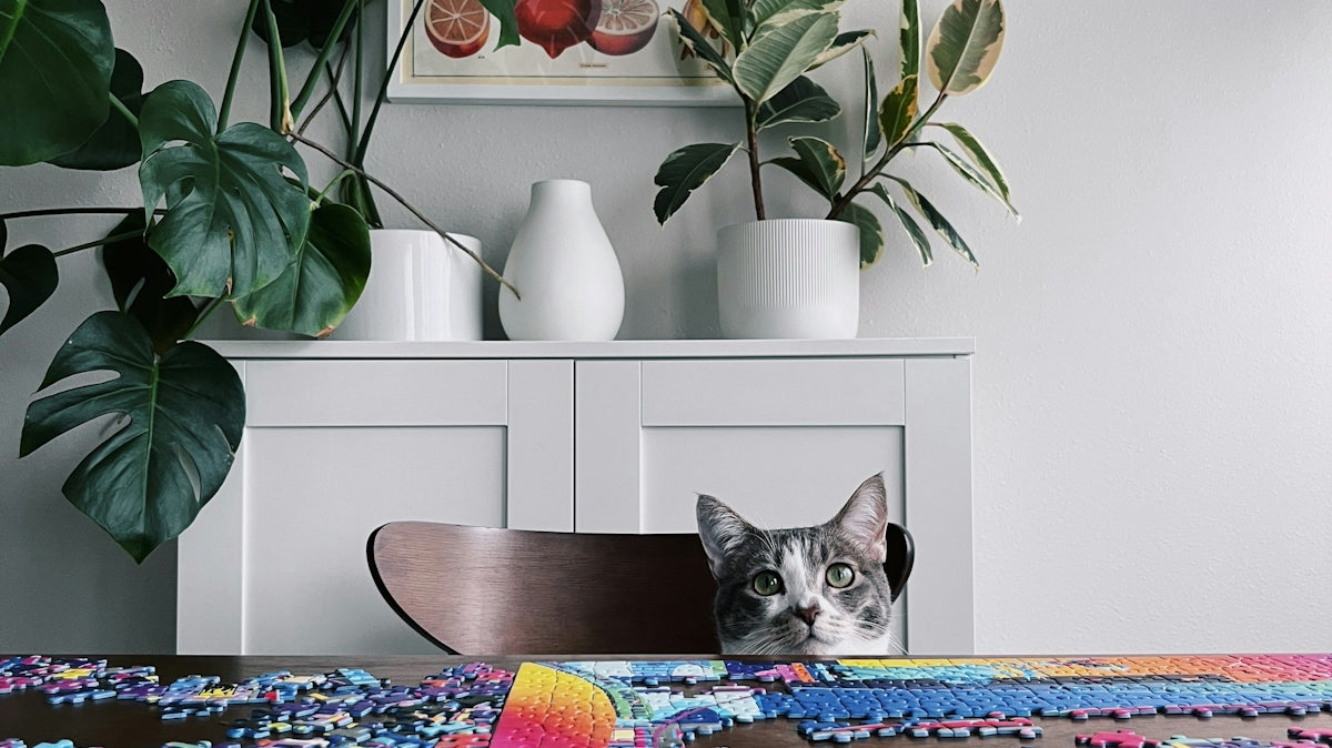 a cat sitting on top of a wooden table
