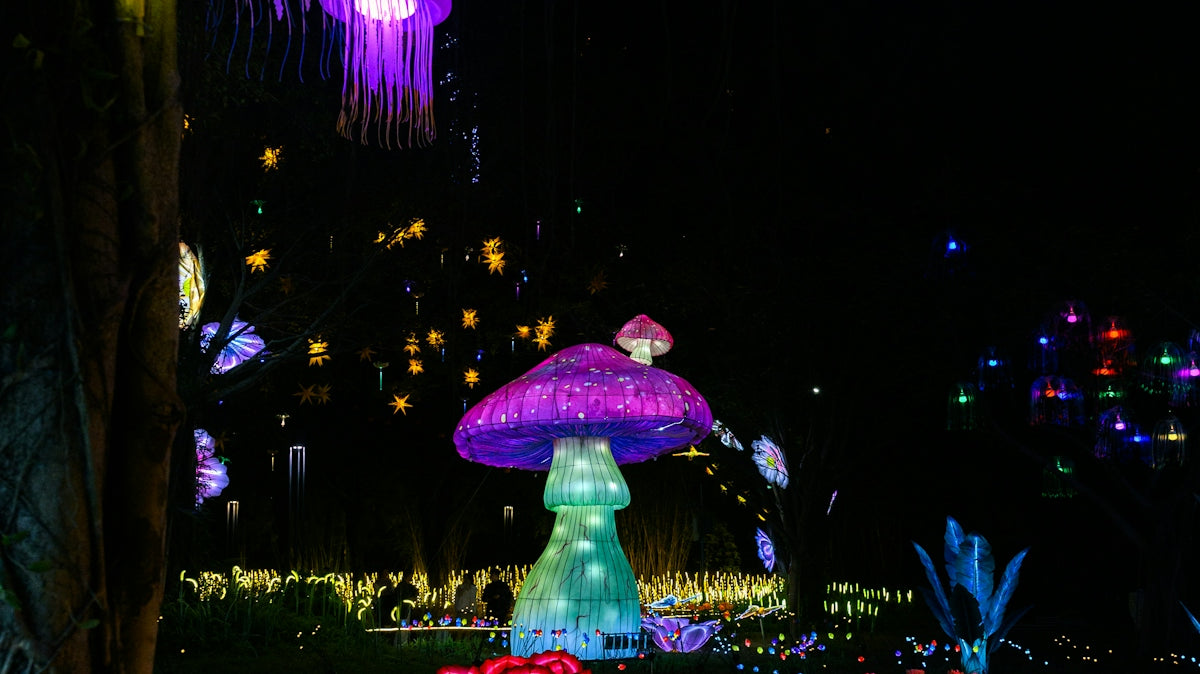 Glowing jellyfish and lotus lanterns in a dark garden