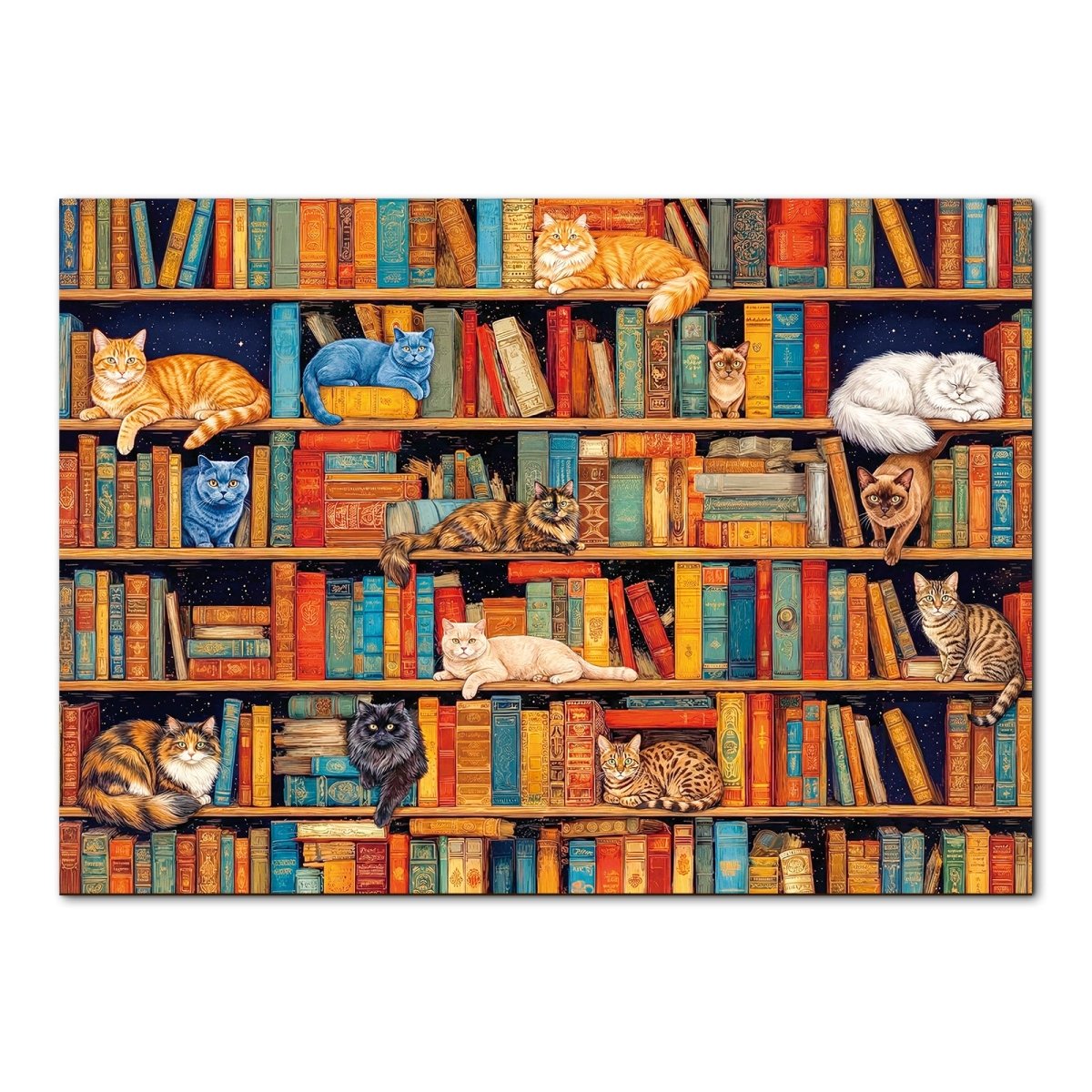 Artistic 1000 - Piece Cardboard Jigsaw Puzzle - Cat on Shelf - KAAYEE Puzzle