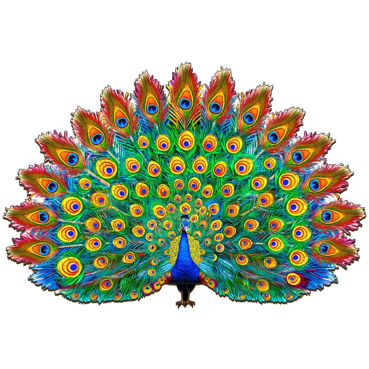 Beautiful Peacock Wooden Jigsaw Puzzle - KAAYEE Puzzle