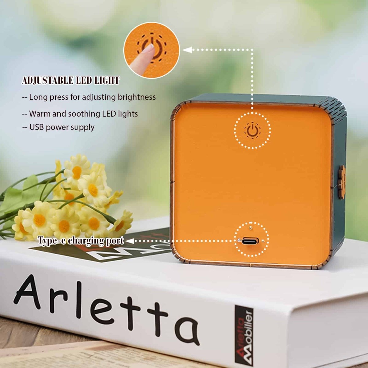 Library Dragon Night Light - KAAYEE Puzzle