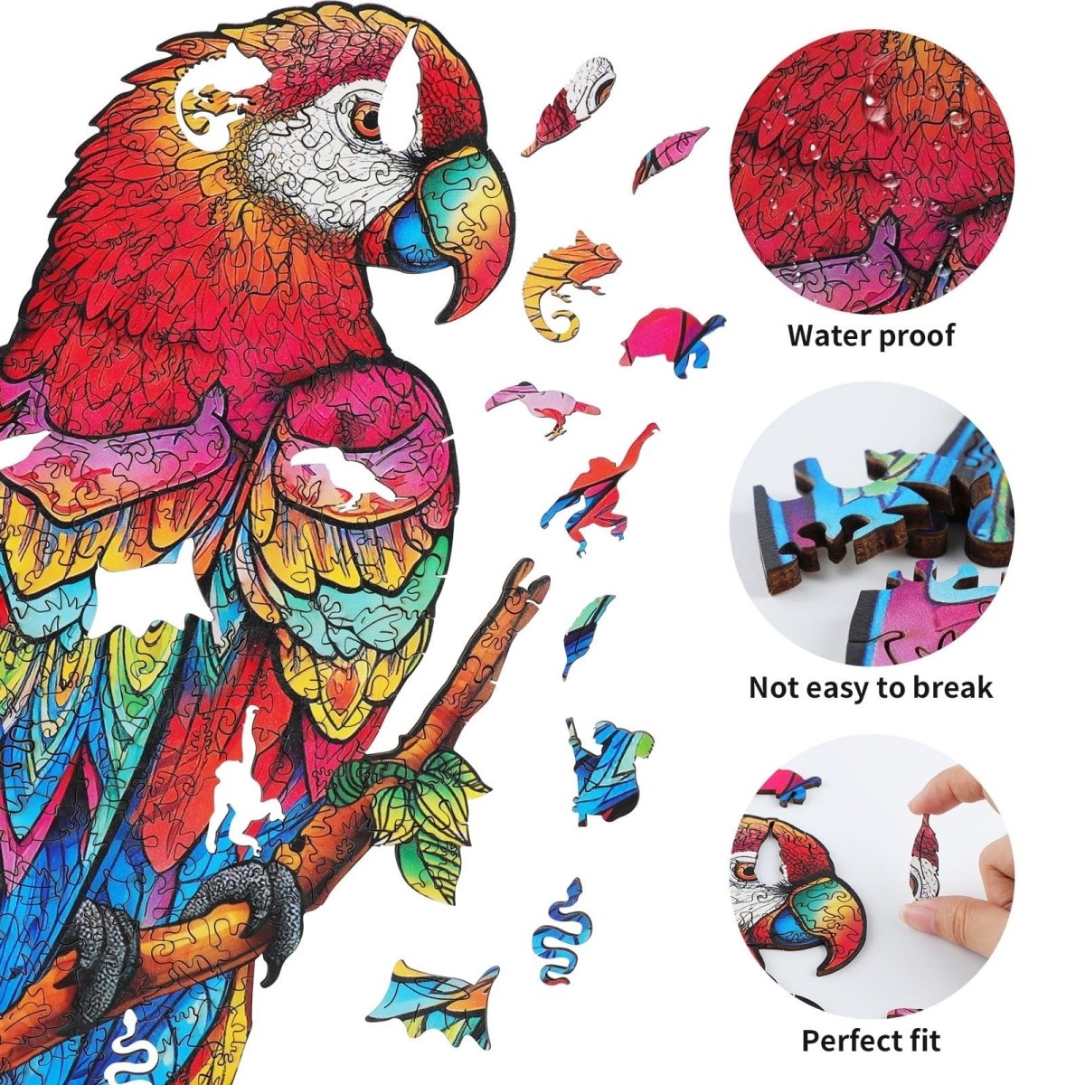 Lovely Parrot Wooden Jigsaw Puzzle - KAAYEE Puzzle