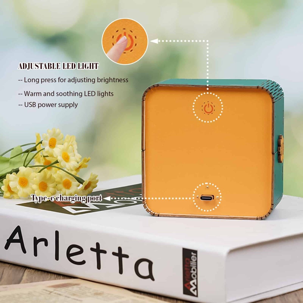 Sunset Wilderness Path Night Light - KAAYEE Puzzle