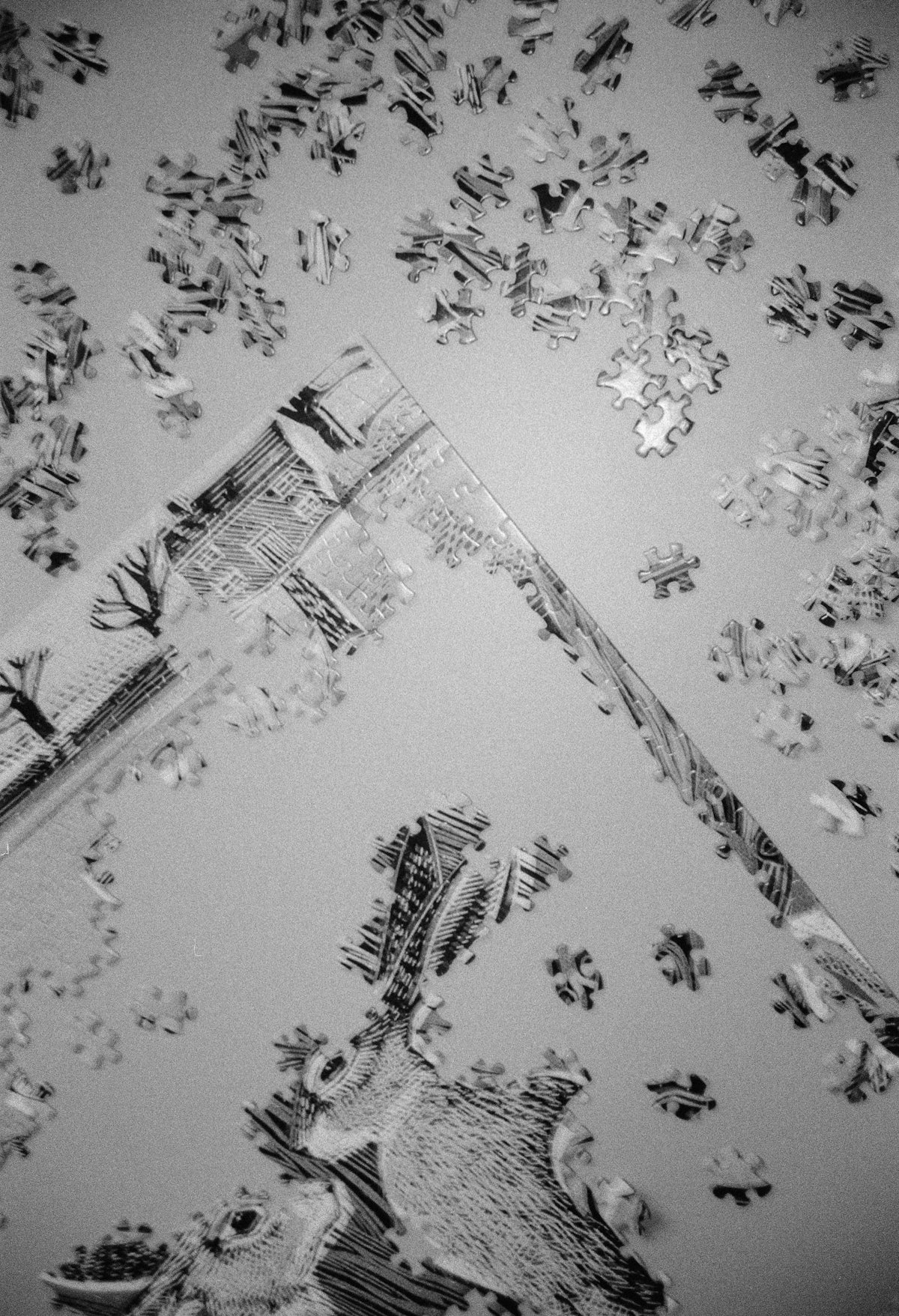 Scattered puzzle pieces and a partially assembled image