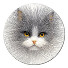 Artistic 1000 - Piece Cardboard Jigsaw Puzzle - Line Cat - KAAYEE Puzzle