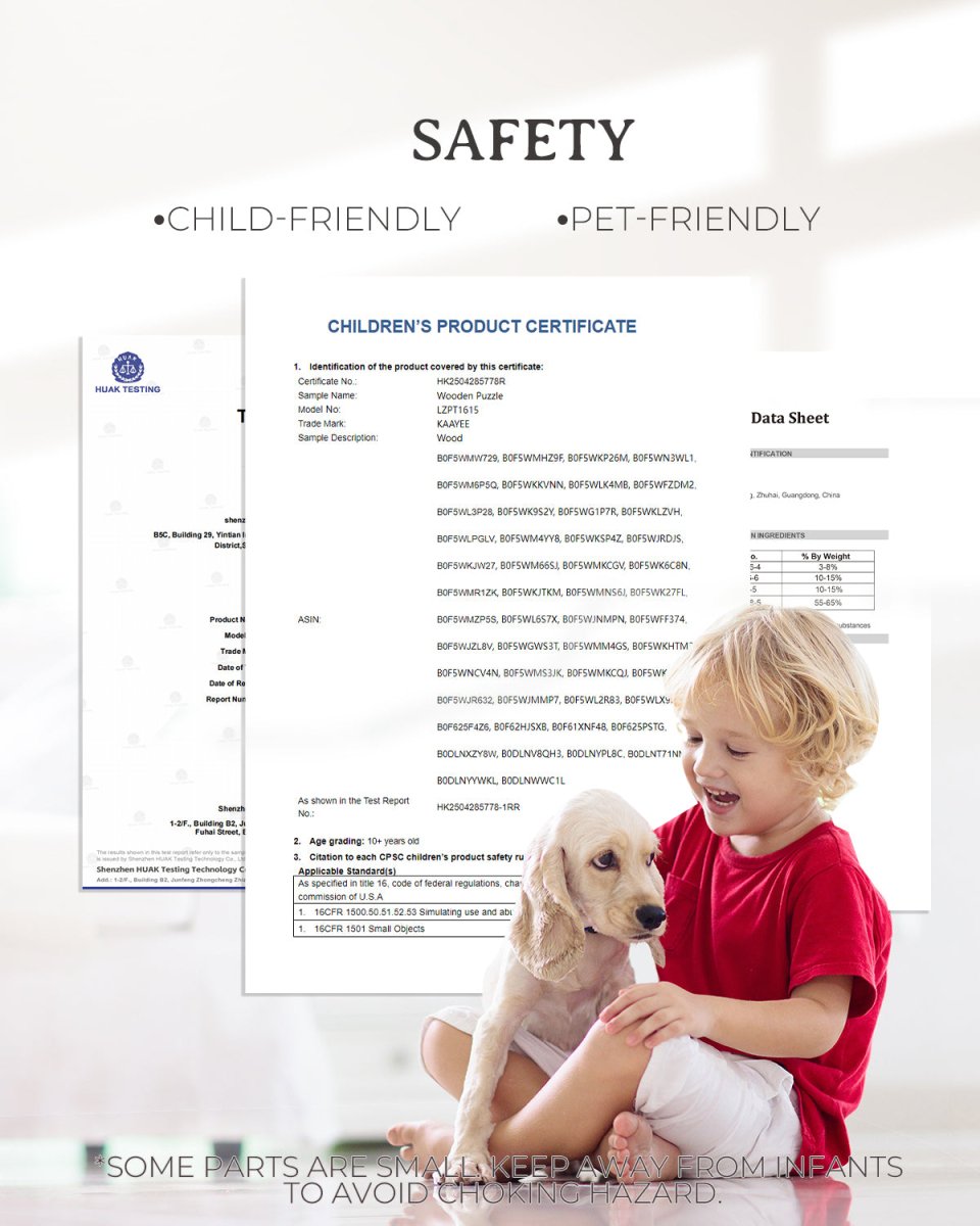 Coin Art Wooden Jigsaw Puzzle - KAAYEE Puzzle