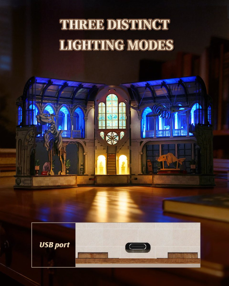 Zoological Museum Book Nook Kit - KAAYEE Puzzle